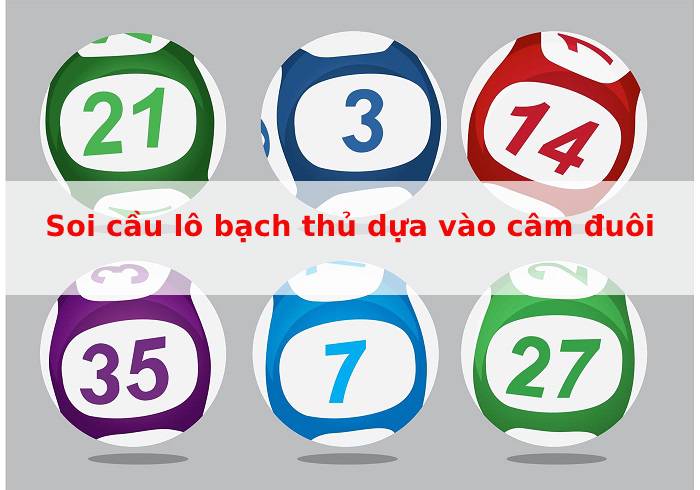 Soi cầu lô bạch thủ lô dựa vào câm đuôi