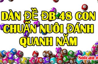 Dàn đề đb 48 con chuẩn nuôi đánh quanh năm