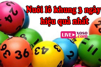 Tổng hợp nuôi lô khung 3 ngày hiệu quả, chuẩn xác nhất